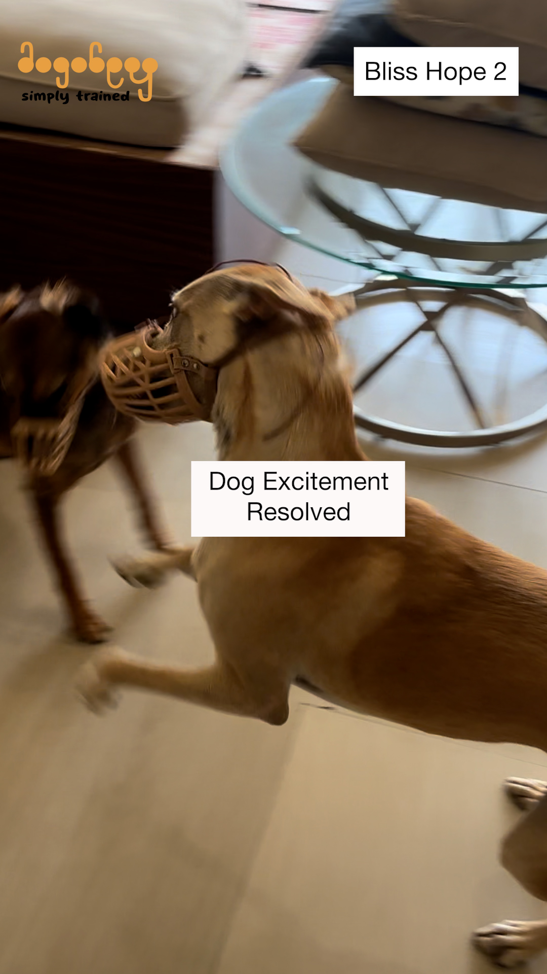 Bliss & Hope - Excitement At People