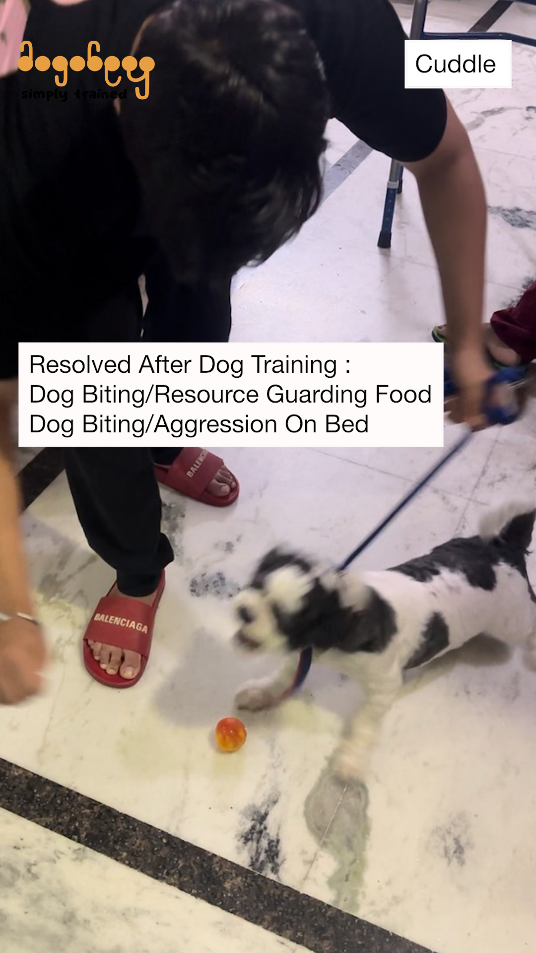 Cuddle - Biting/Resource Guarding Food