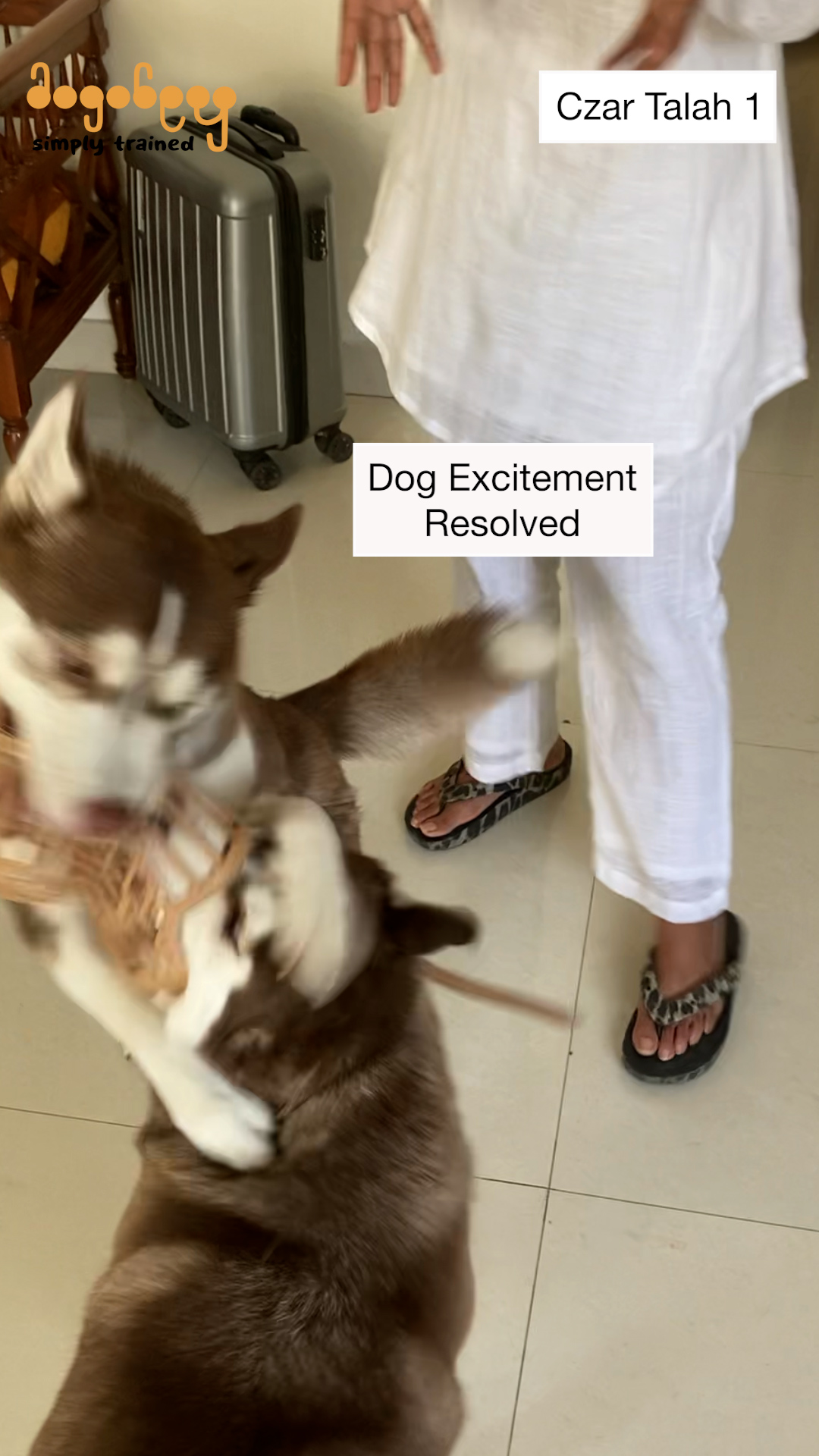 Czar - Excitement at People