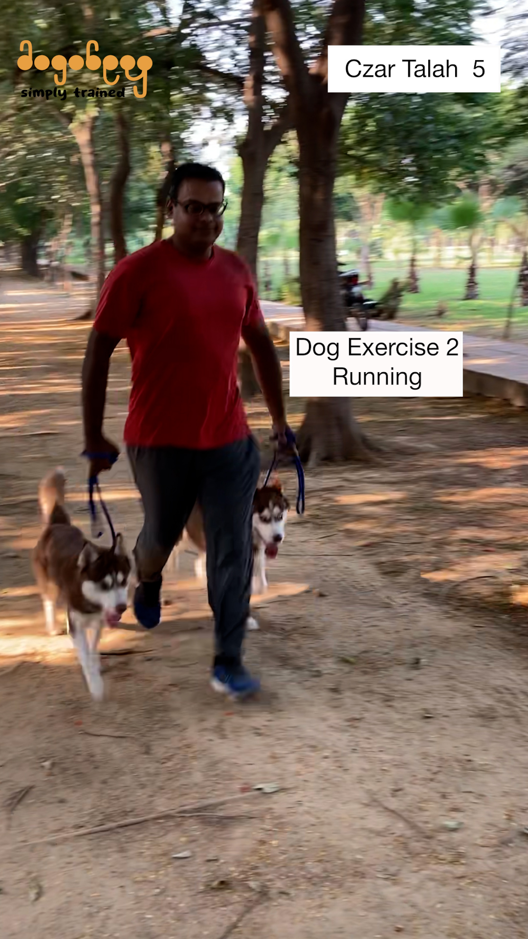 Czar & Talah - Dog Exercise Running