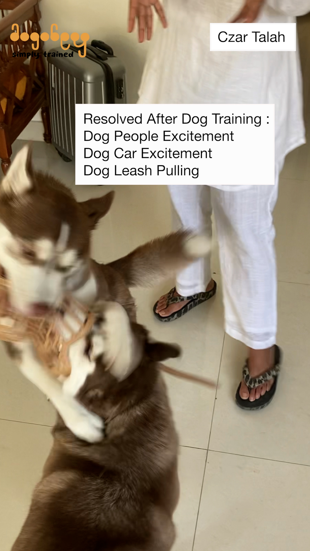 Czar - Car Excitement