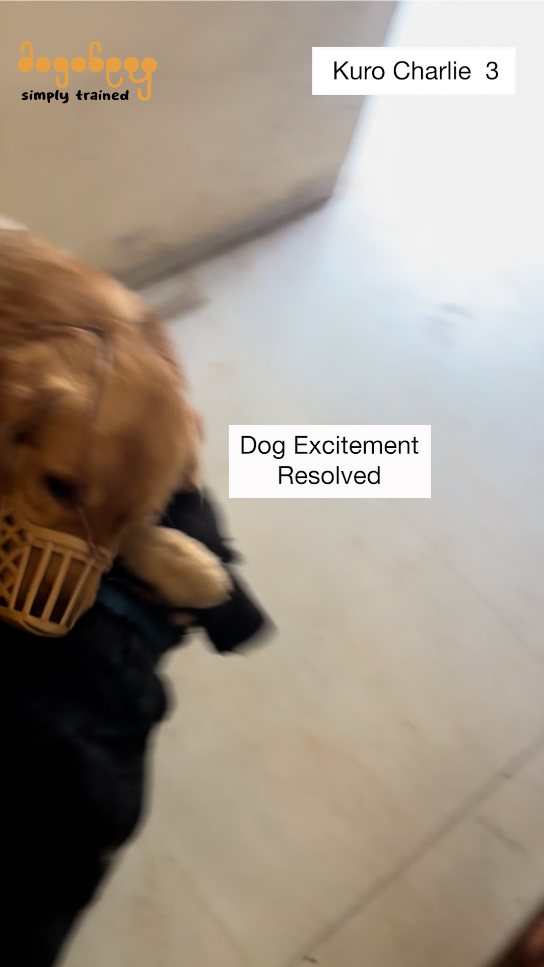 Kuro and Charlie - Excitement At People