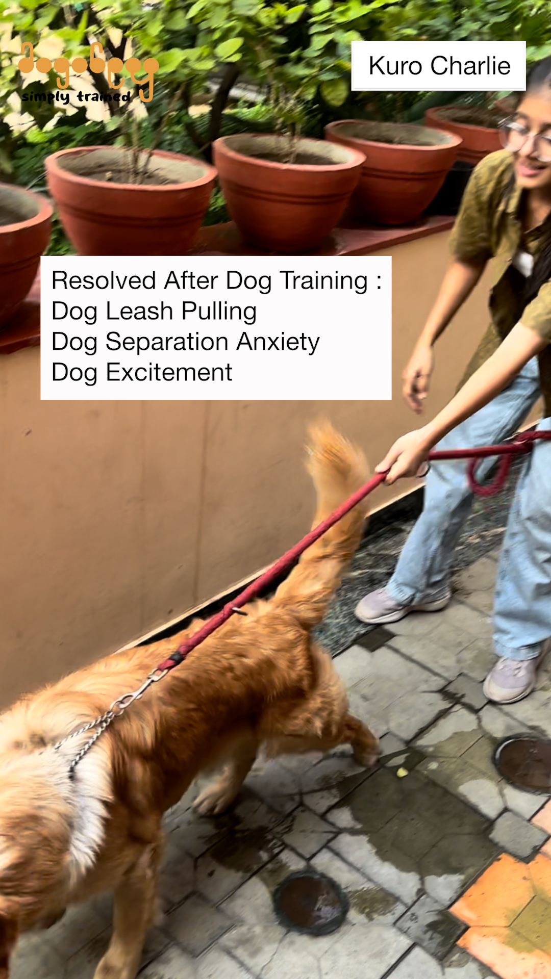 Kuro & Charlie - Leash Pulling