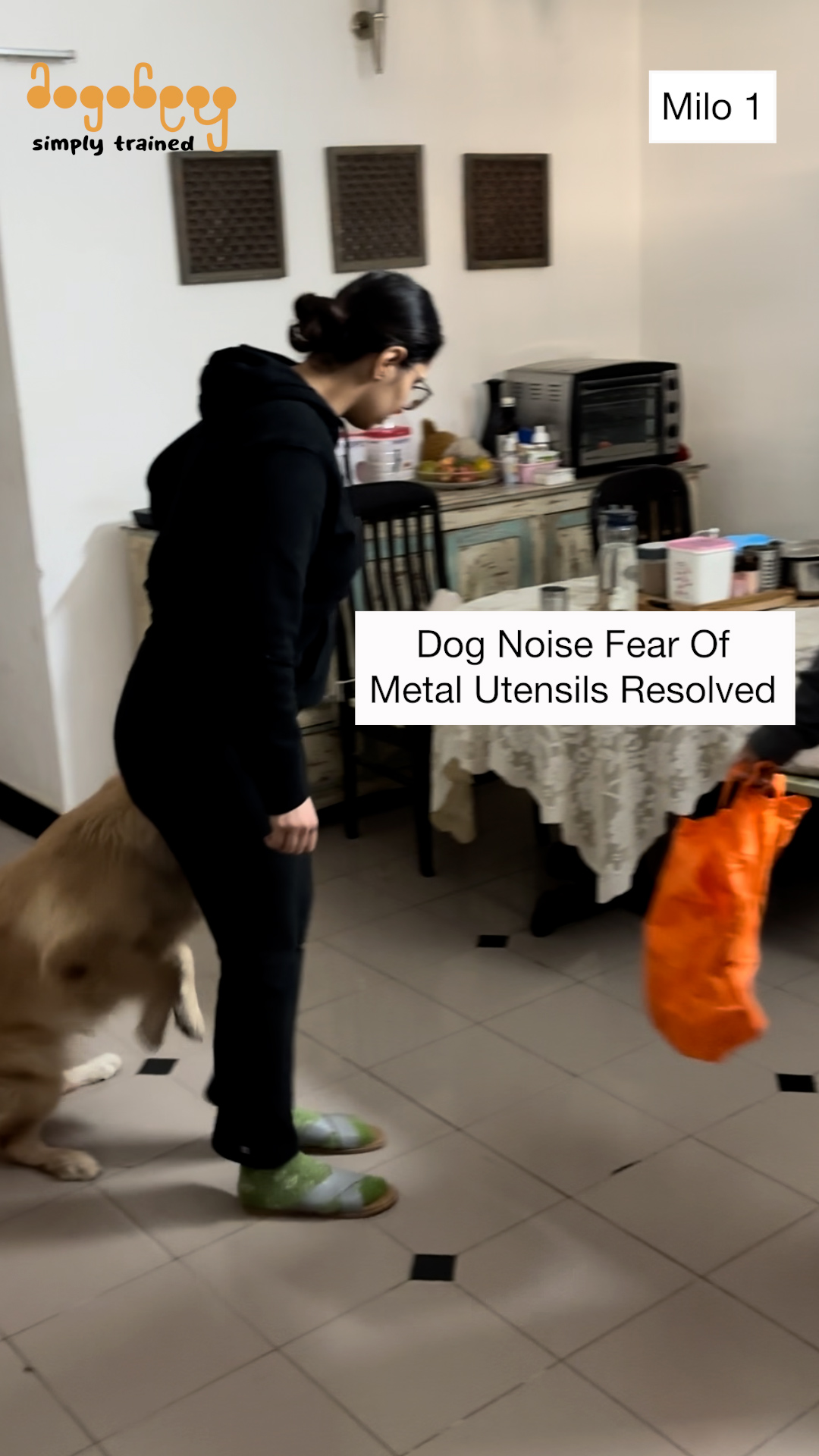 Milo - Noise Fear Of Metal Utensils