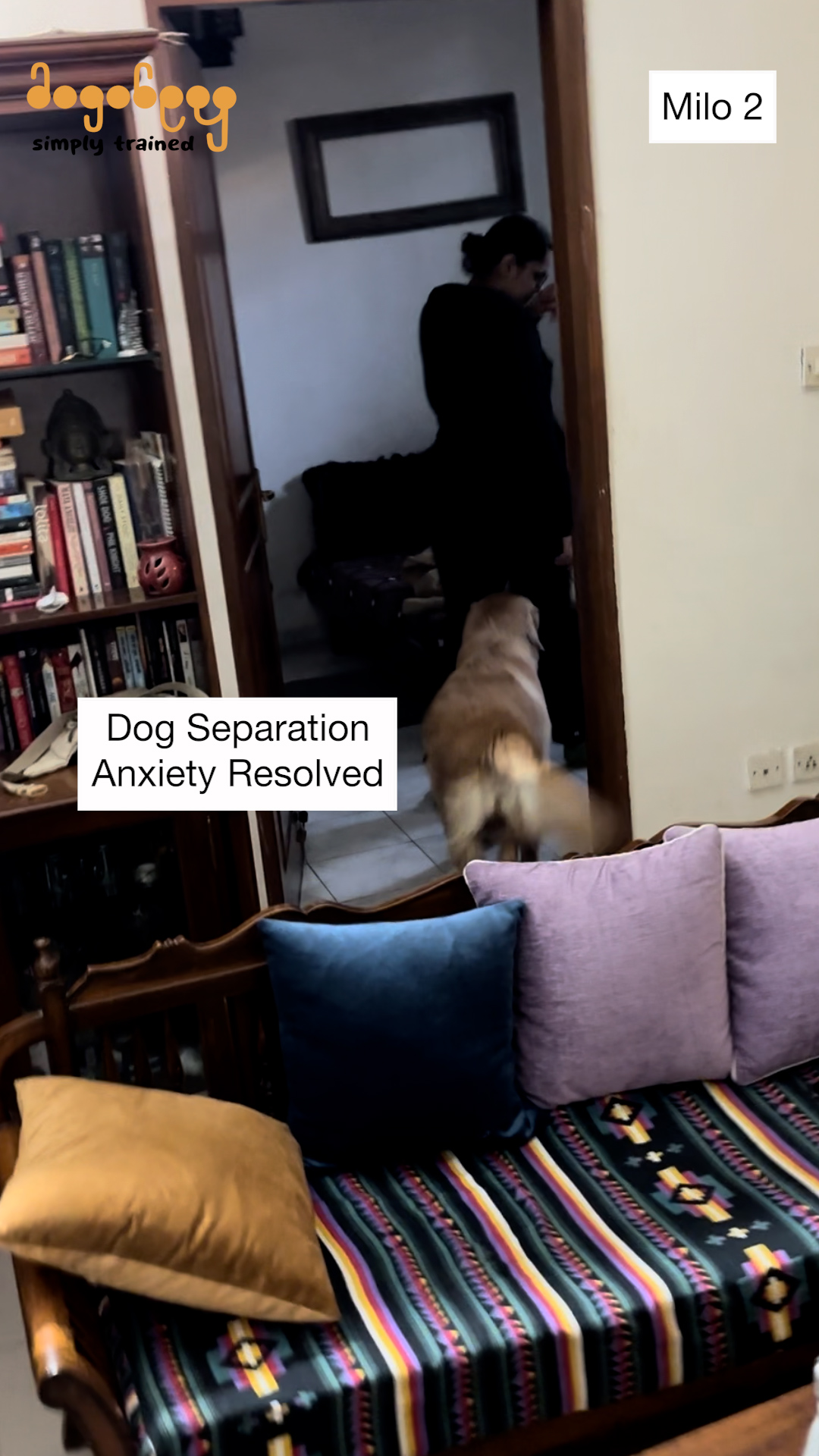 Milo - Separation Anxiety