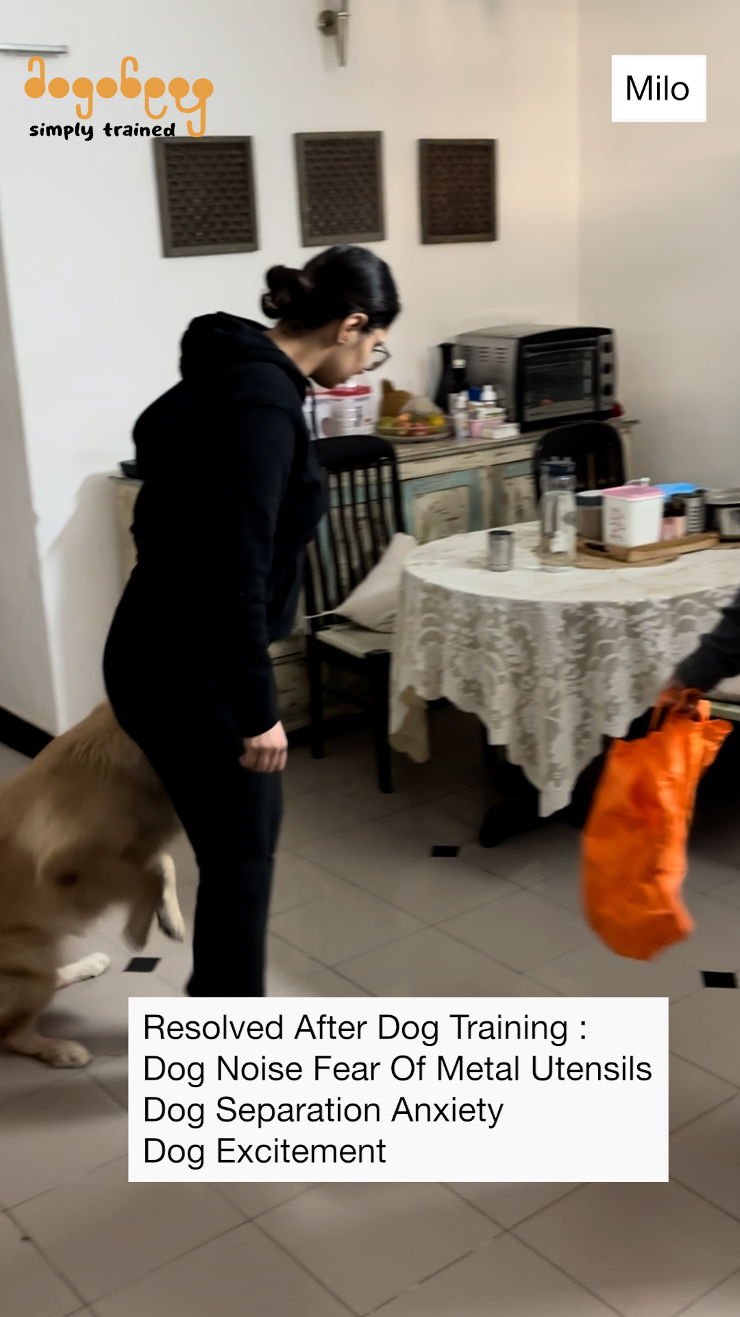 Kuro & Charlie - Leash Pulling