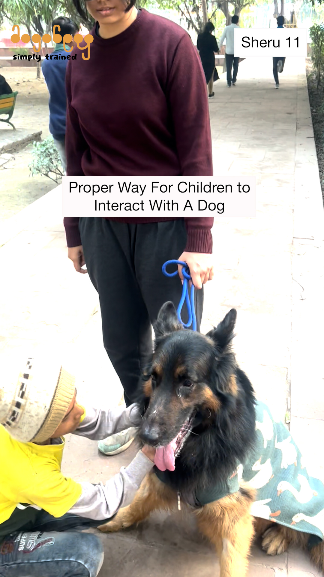 Sheru - Proper Way For Children To Interact With A Dog