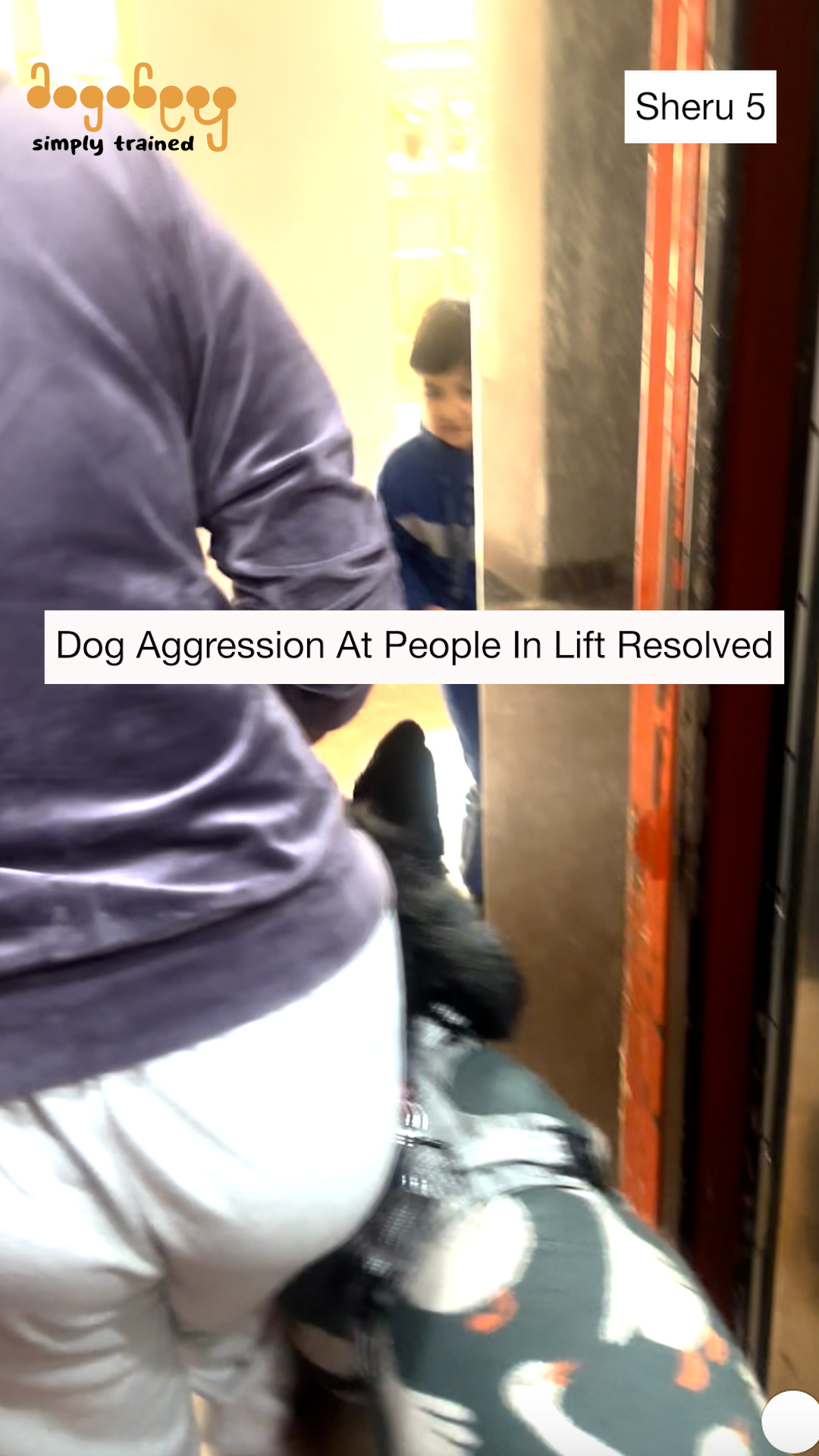 Sheru - German Shepherd Training