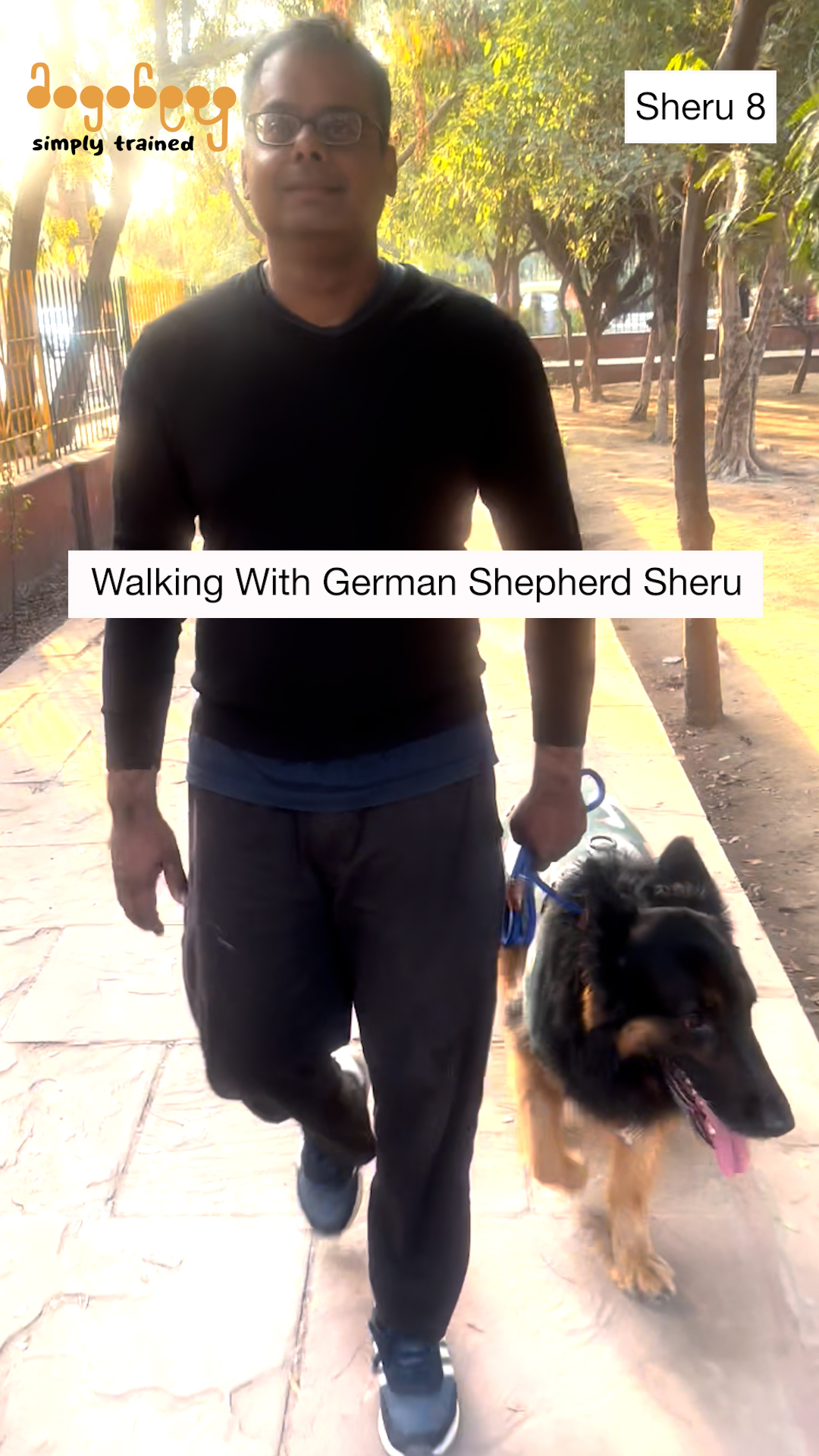 Sheru - Walking With German Shepherd