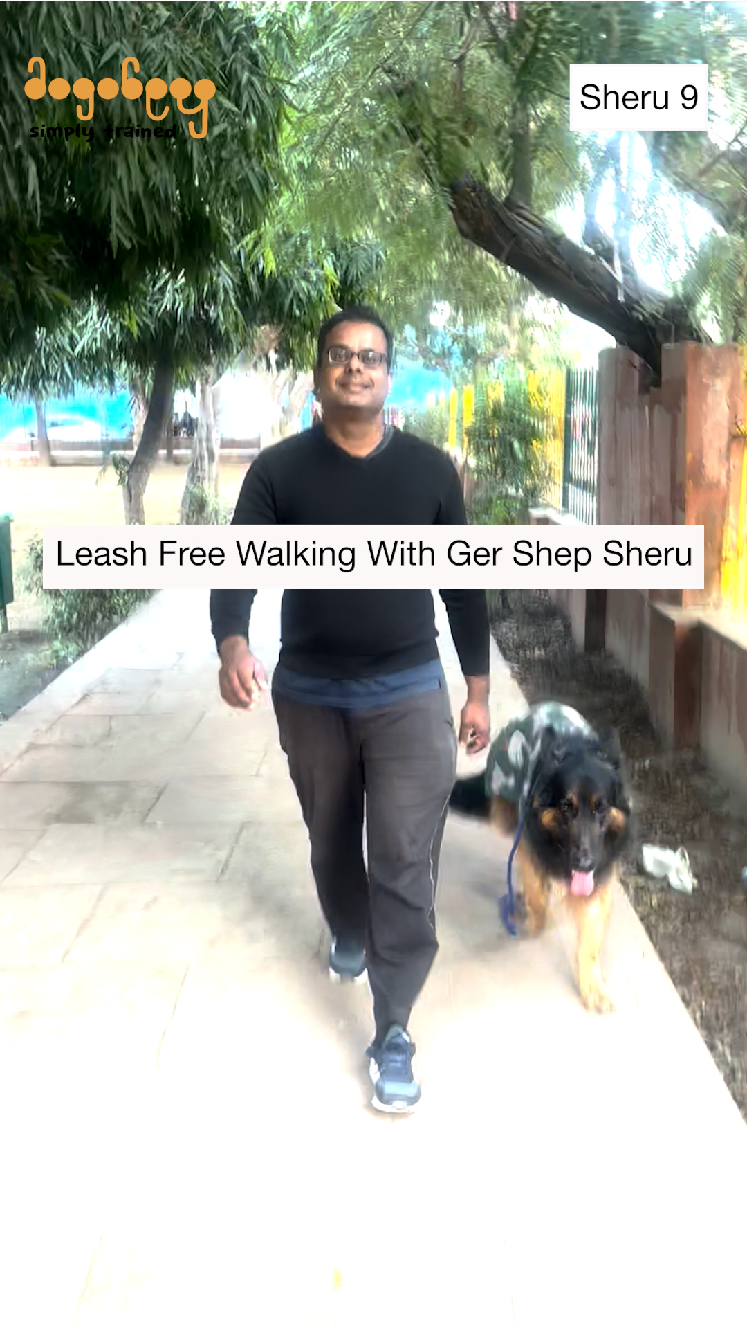 Sheru - Leash Free Walking With German Shepherd