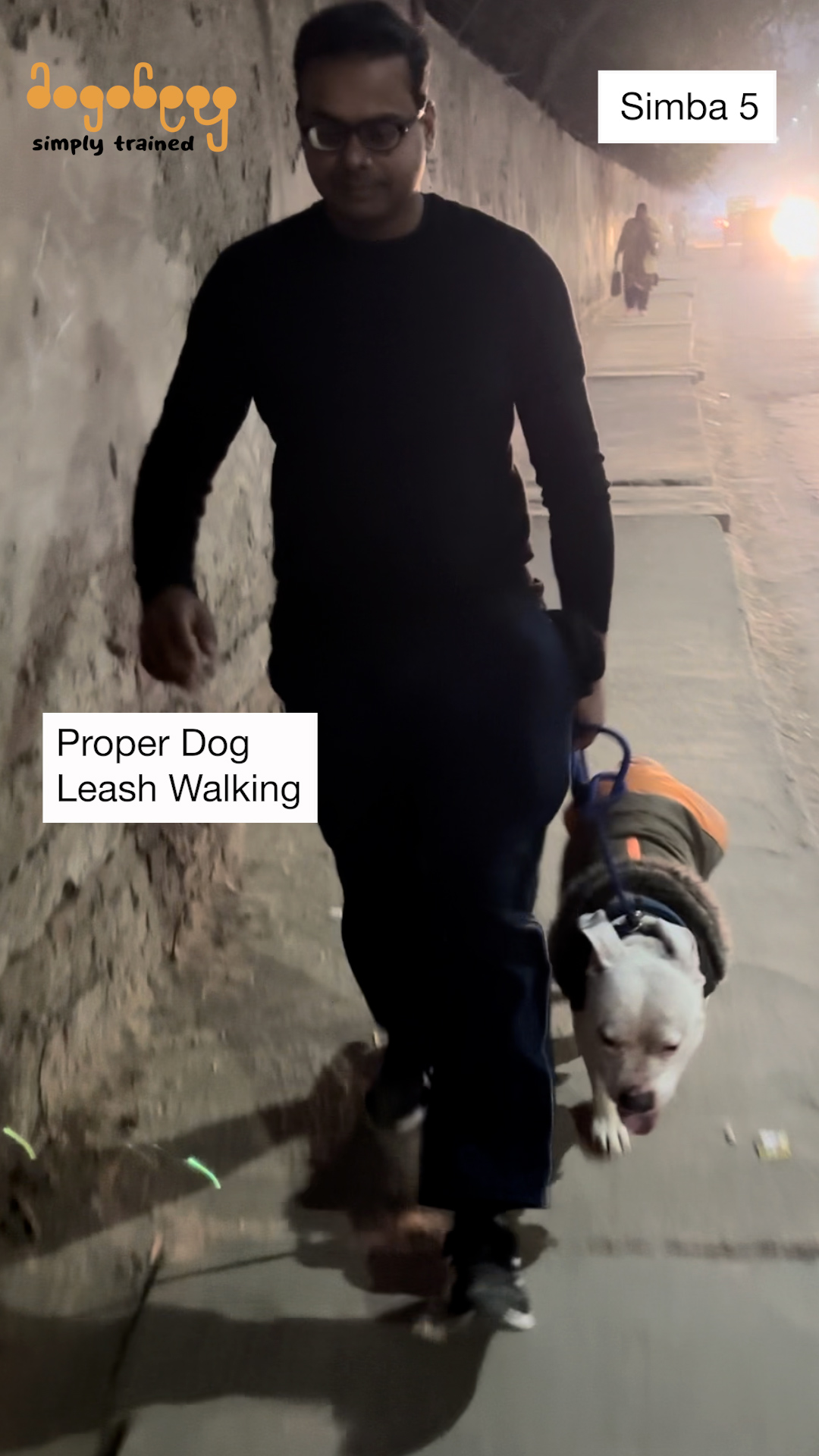 Simba - Proper Dog Leash Walking