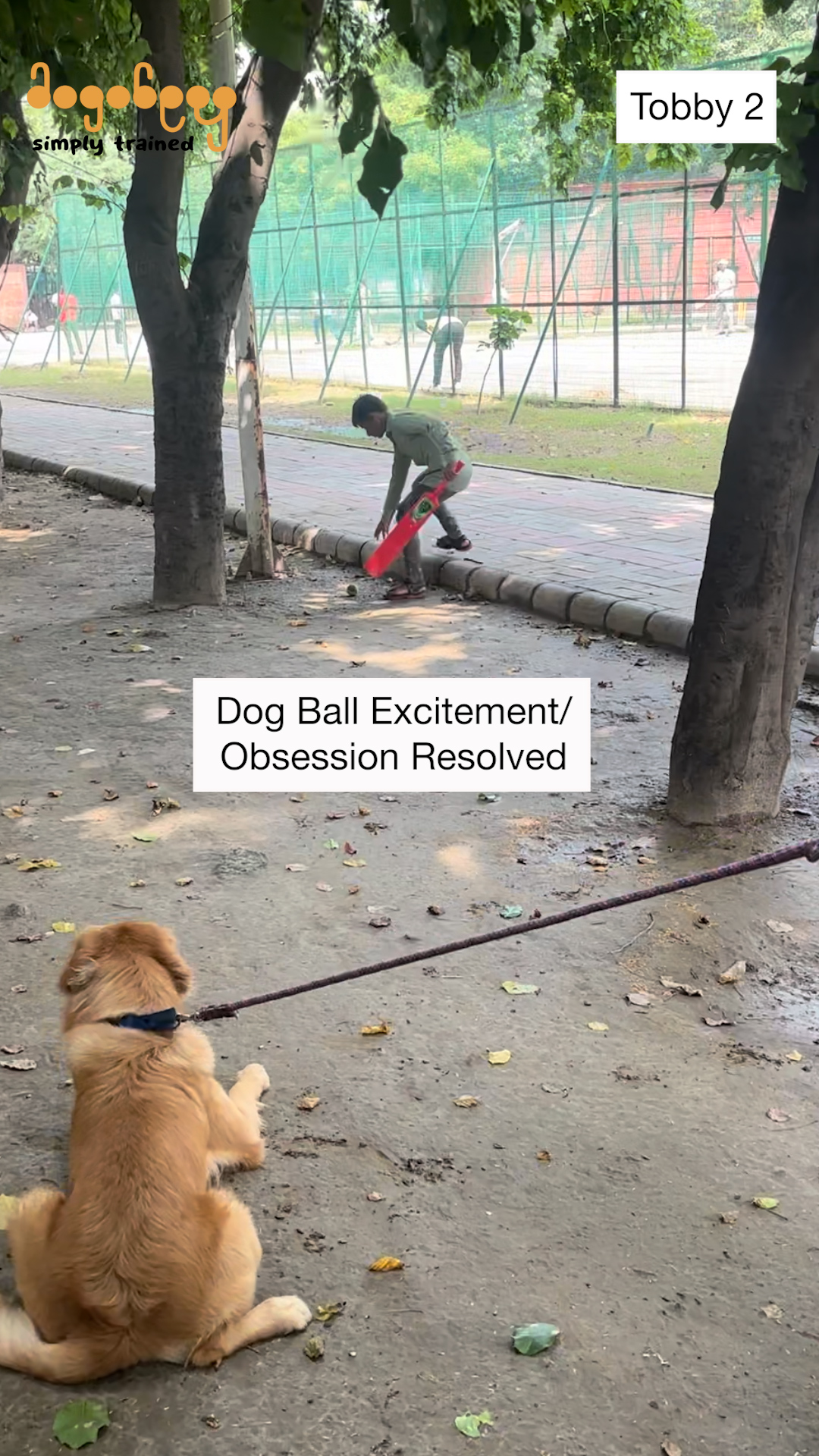 Tobby - Ball Excitement/Obsession