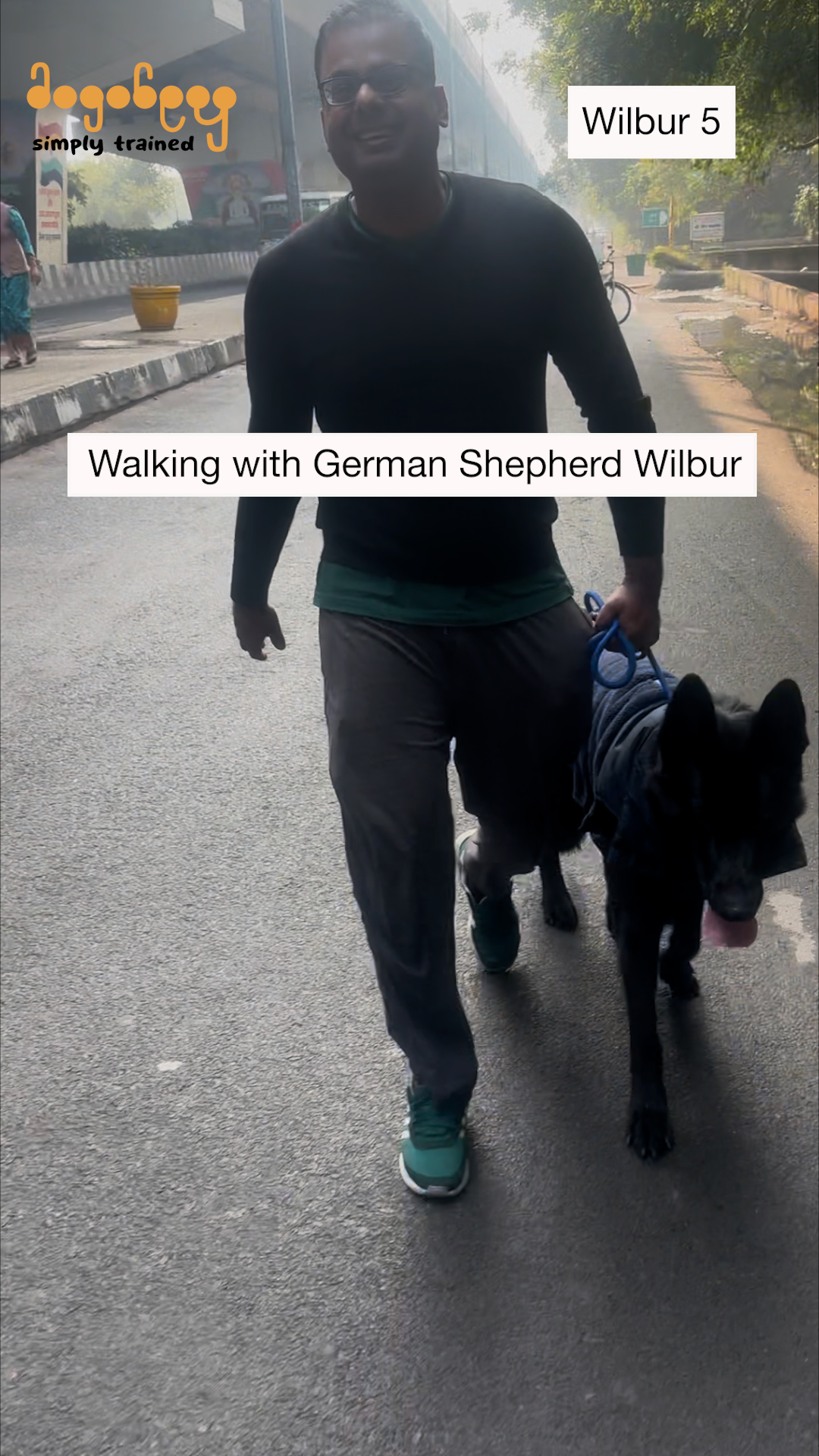 Wilbur - Walking With German Shepherd